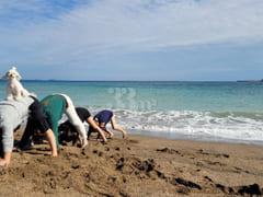 3 minutes to the beach, pet-friendly (one-mon 12th image