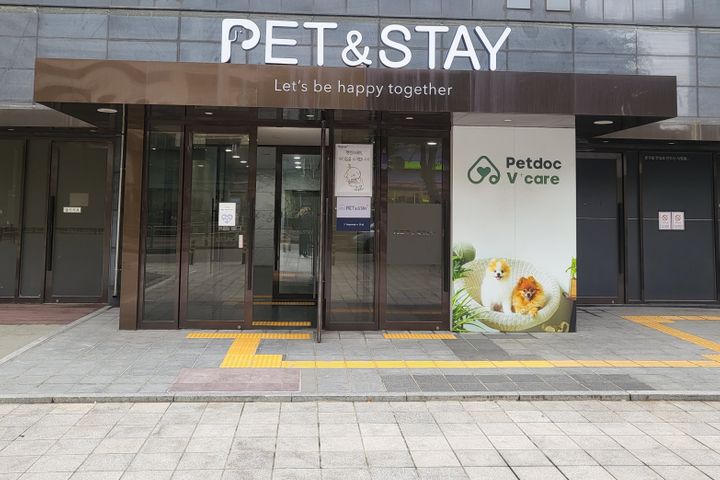선유도역당산역/반려동물 15번째 이미지