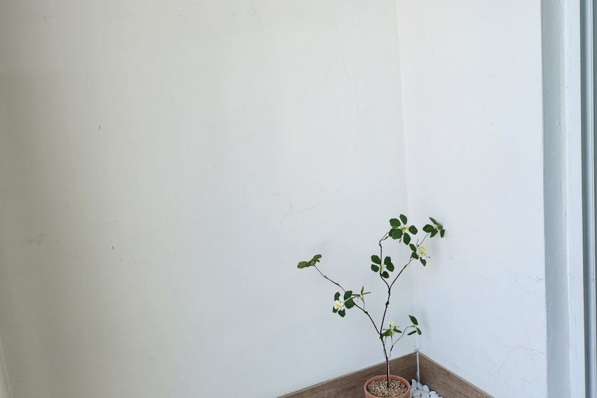 풀감성풀옵션703