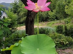 리틀 포레스트 1번째 이미지