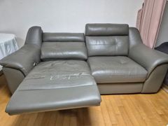 벚꽃양재카페공원 바로앞 13번째 이미지