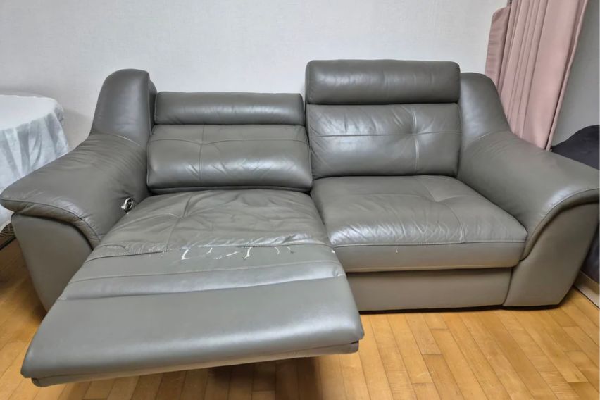 벚꽃양재카페공원 바로앞 13번째 이미지