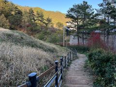 조용한 산책, 힐링의 13번째 이미지