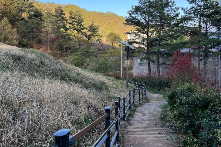 조용한 산책, 힐링의 13번째 이미지