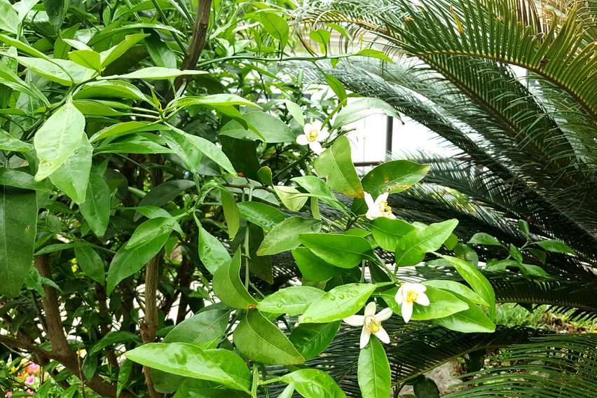 잔디마당 독채2룸형E동