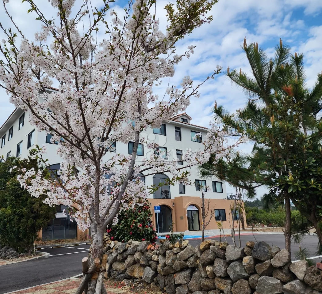 Seogwipo accommodation with all utilities inc 6th image