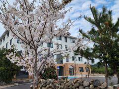 Seogwipo accommodation with all utilities inc 6th image
