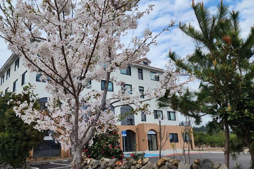 서귀포모든공과금포함숙소