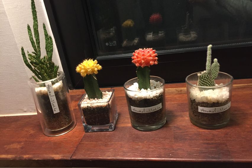 개인일인 침대스페셜 1 4번째 이미지