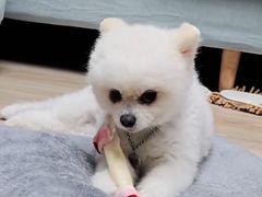 스카이룸 7번째 이미지