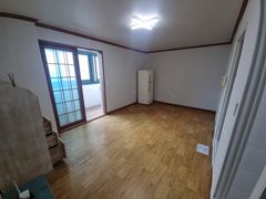 Jinhae Cherry Blossoms / Vacant Studio / 5 1th image
