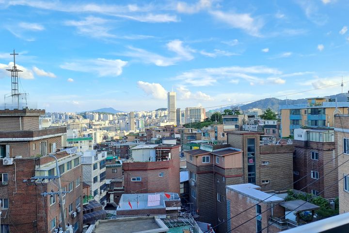 낙산홈 13번째 이미지
