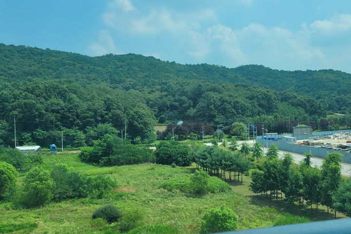 혁도.넓은풀옵.워케이션 11번째 이미지