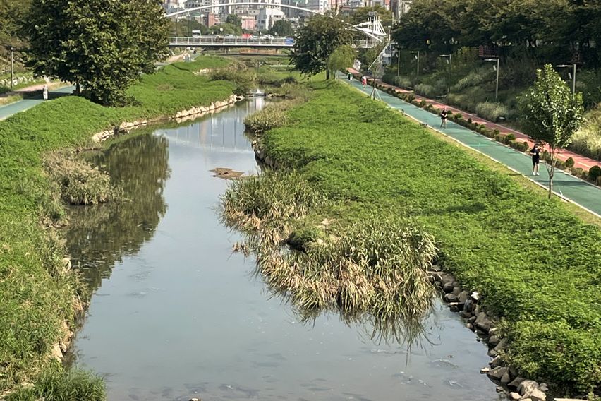 컬러맛집 투룸 15번째 이미지
