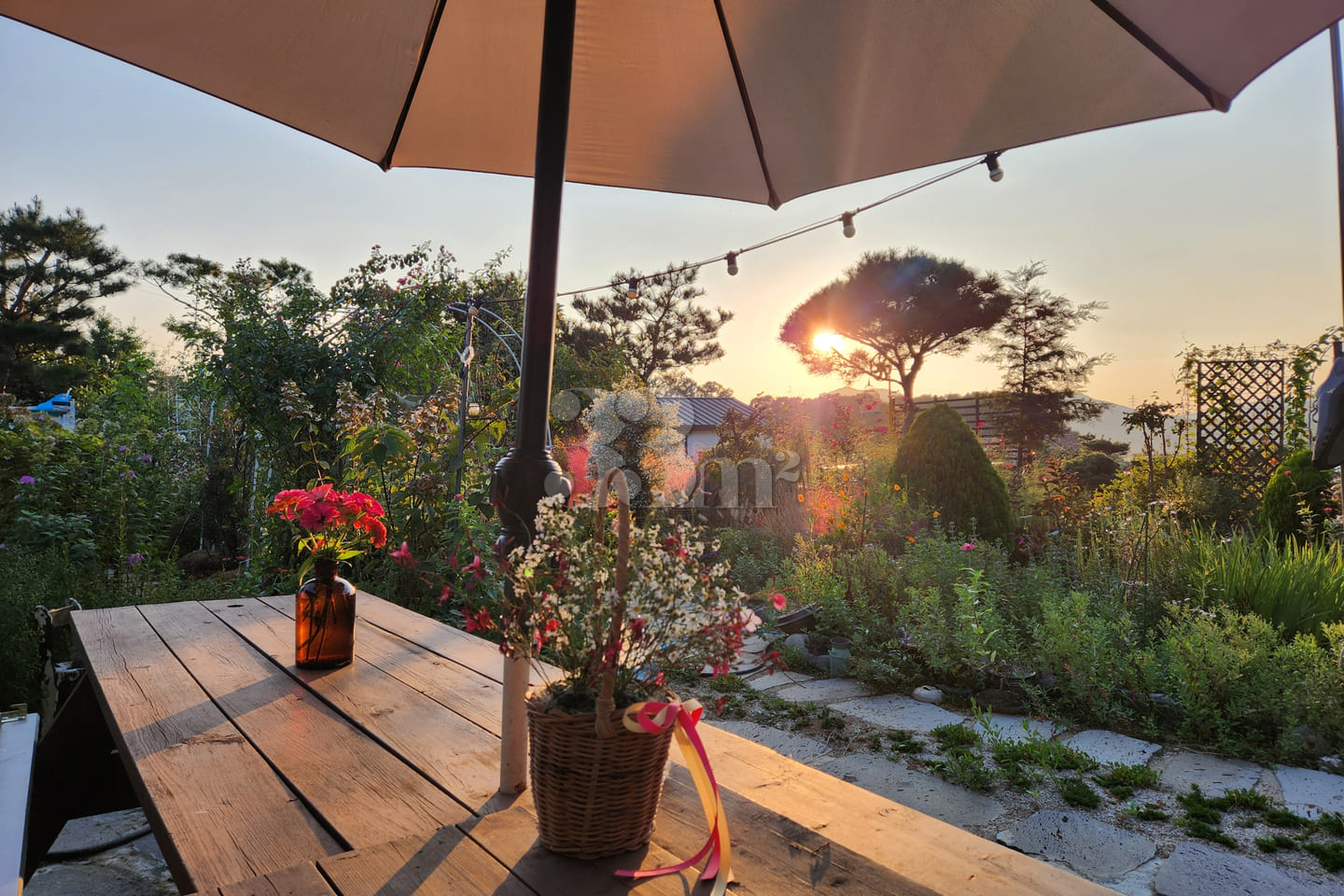 A room with a pretty garden in the forest. 18th image