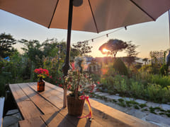 A room with a pretty garden in the forest. 18th image