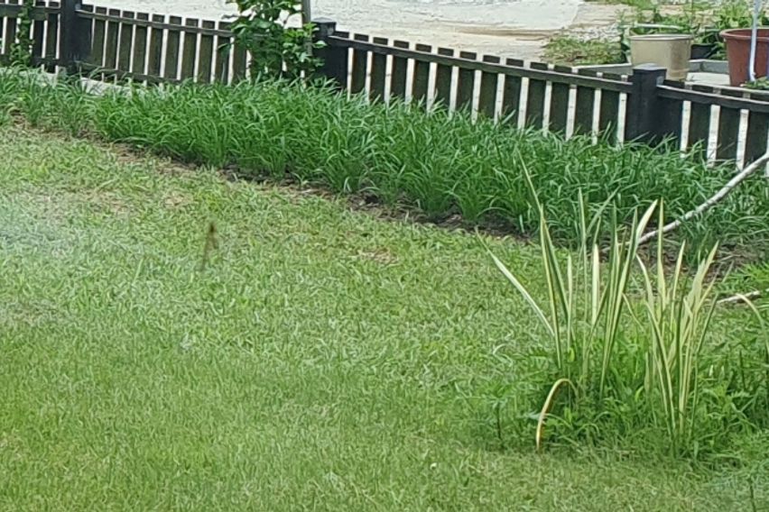 한적한 시골 편백나무집 5번째 이미지