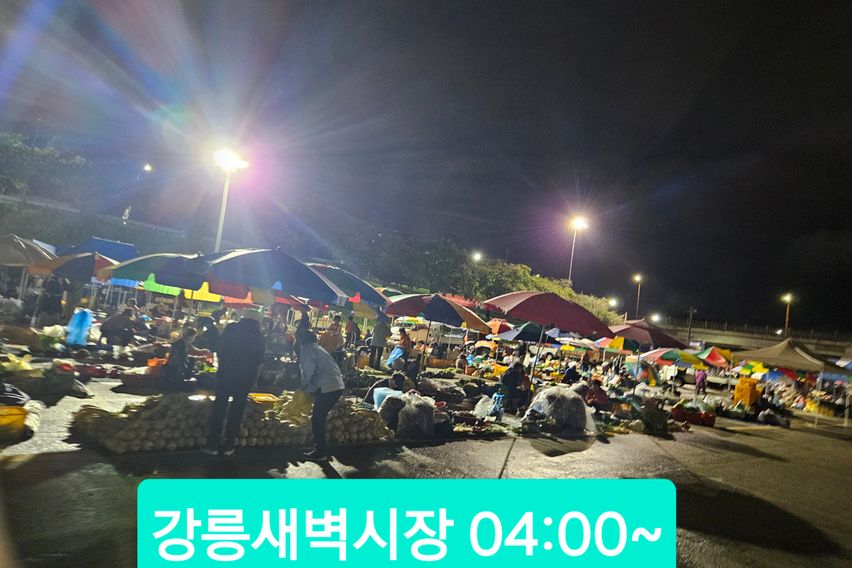 강릉민서네A가성비최고