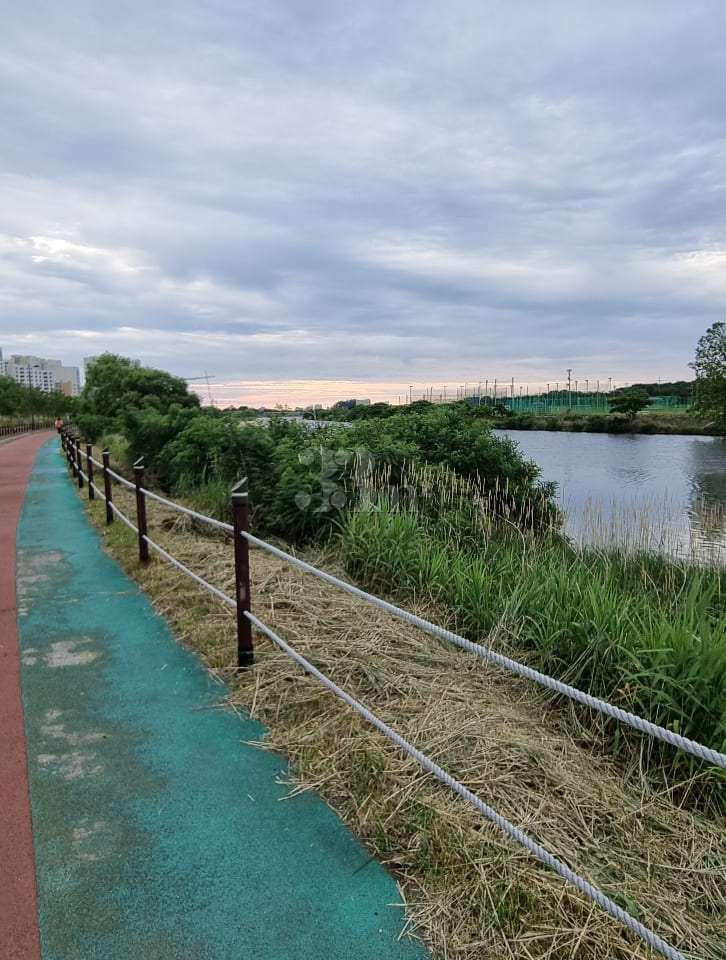 South-facing riverside studio with great valu 14th image