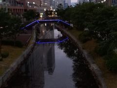 청라 호수의 계절 17번째 이미지