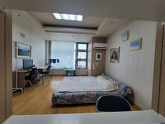 Gyeongbokgung Station (studio apartment) 2-mi 13th image