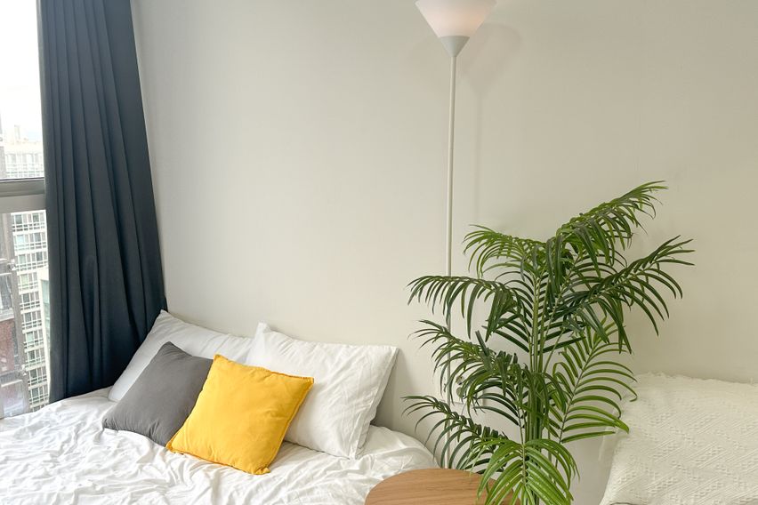 오픈특가🧡강남역초역세