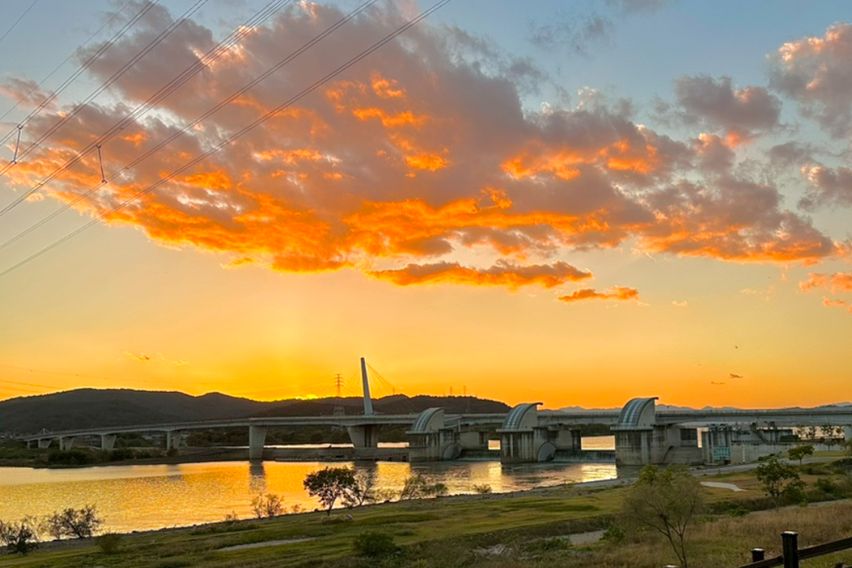 🌳계대룸룸🌸