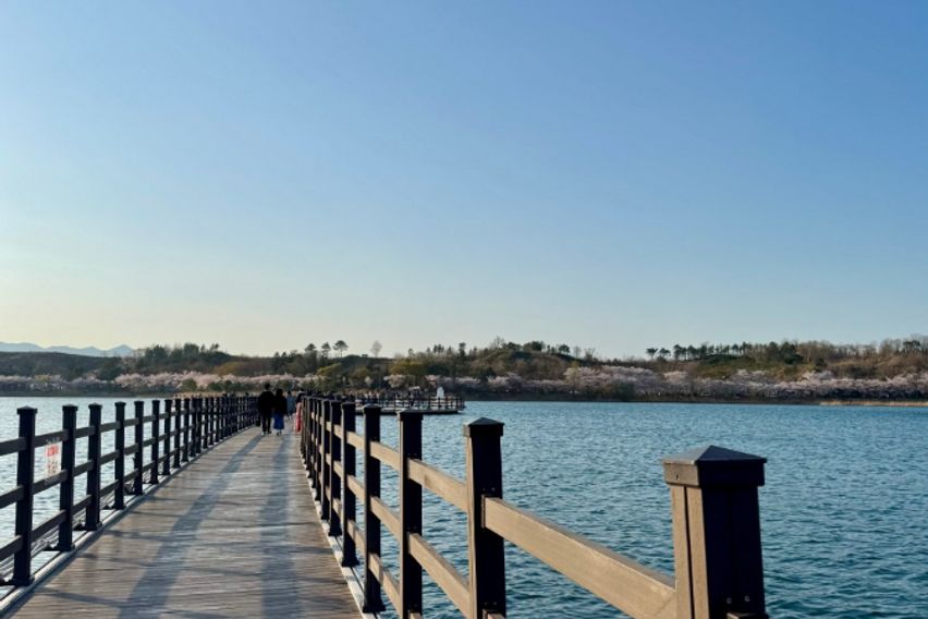 속초 동진리조텔 28평 14번째 이미지