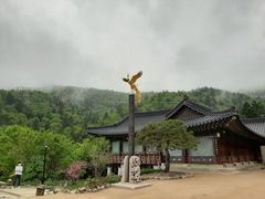 알펜시아평창 인근 17번째 이미지