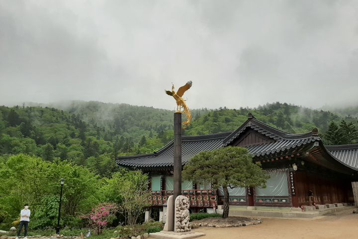 알펜시아평창 인근 17번째 이미지