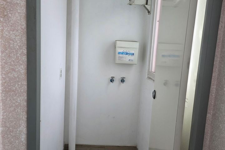 새봄 6번째 이미지