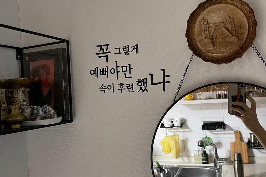 바닷가/넷플/숲세권애견