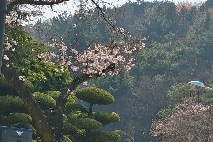 숲세권에서 힐링을 🌿 2번째 이미지