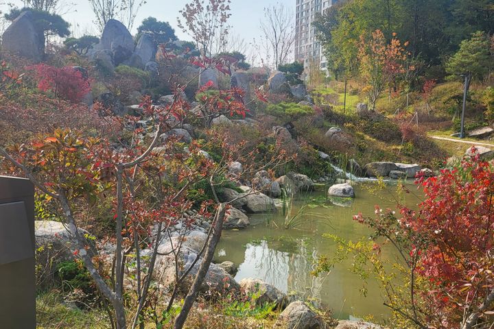 수원 영통 올수리 룸2 14번째 이미지