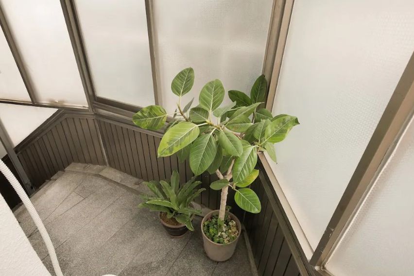 서울역투룸패밀리홈 8번째 이미지