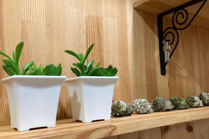🌿 성산 힐링 독채 🌿 14번째 이미지