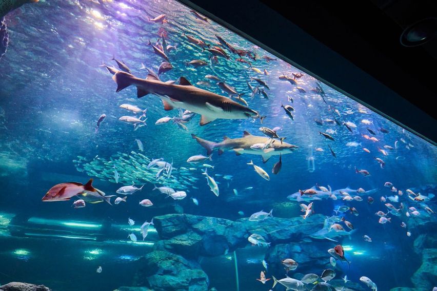 ♥️광교호수뷰♥️포레나3룸