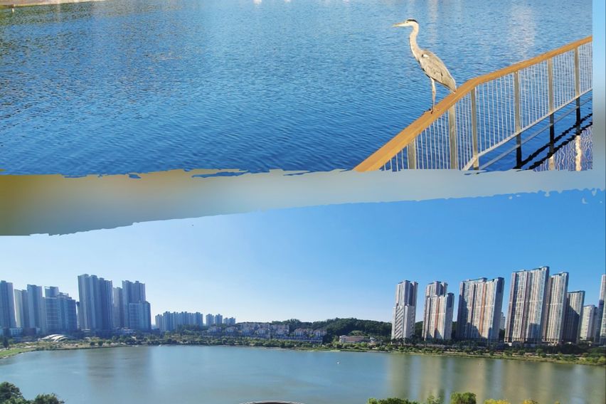 GH 레이크 하우스 18번째 이미지