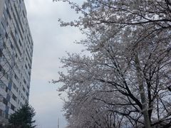 포천 신북 조용한곳 7번째 이미지