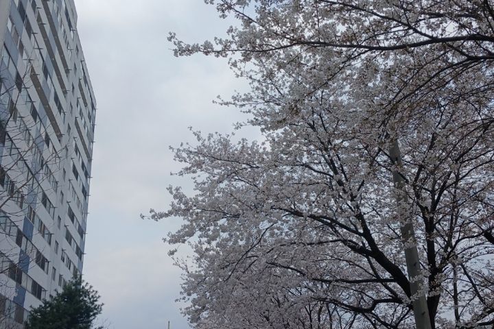 포천 신북 조용한곳 7번째 이미지