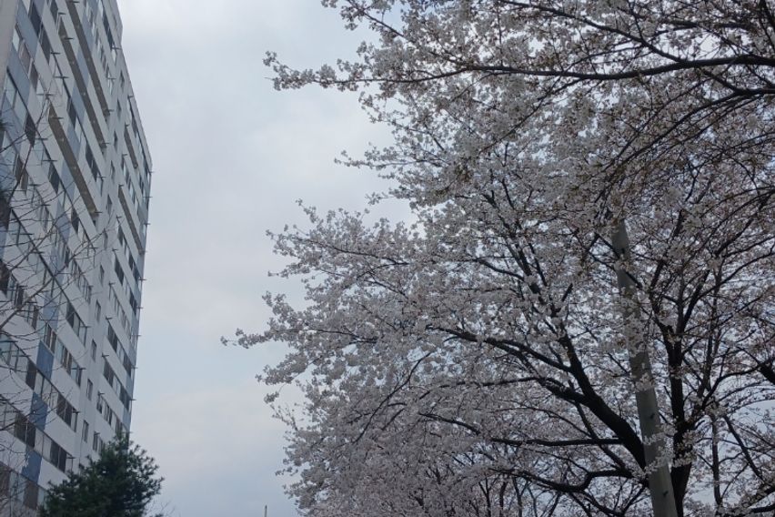 포천 신북 조용한곳 7번째 이미지