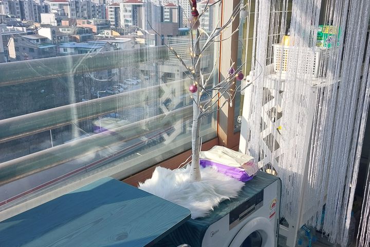 둔산동출장🤩아늑/깔끔 13번째 이미지
