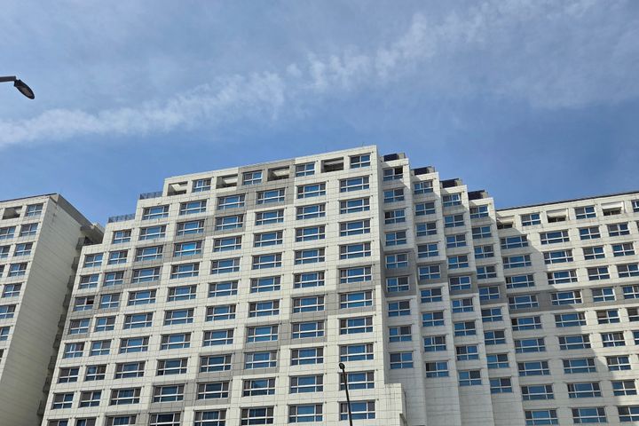 마곡나루역1분😄 보타닉 17번째 이미지