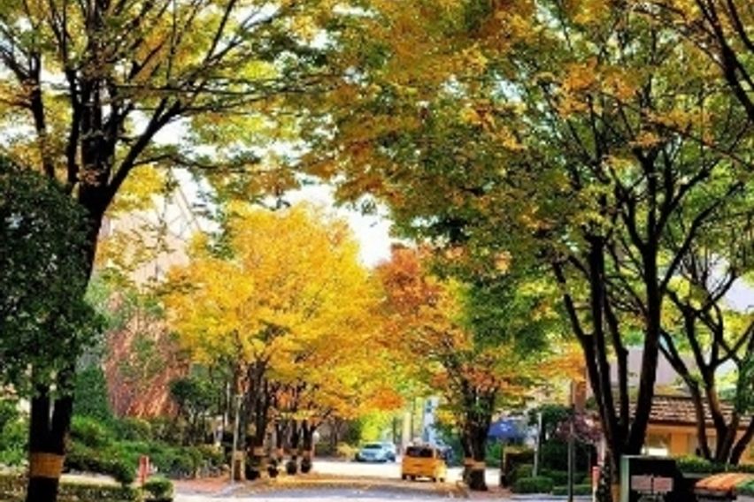 고급발라303의 방2호 7번째 이미지