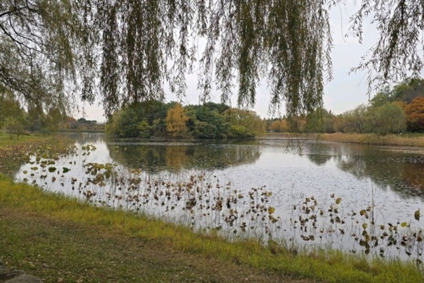 주엽역 cozy9풀옵션