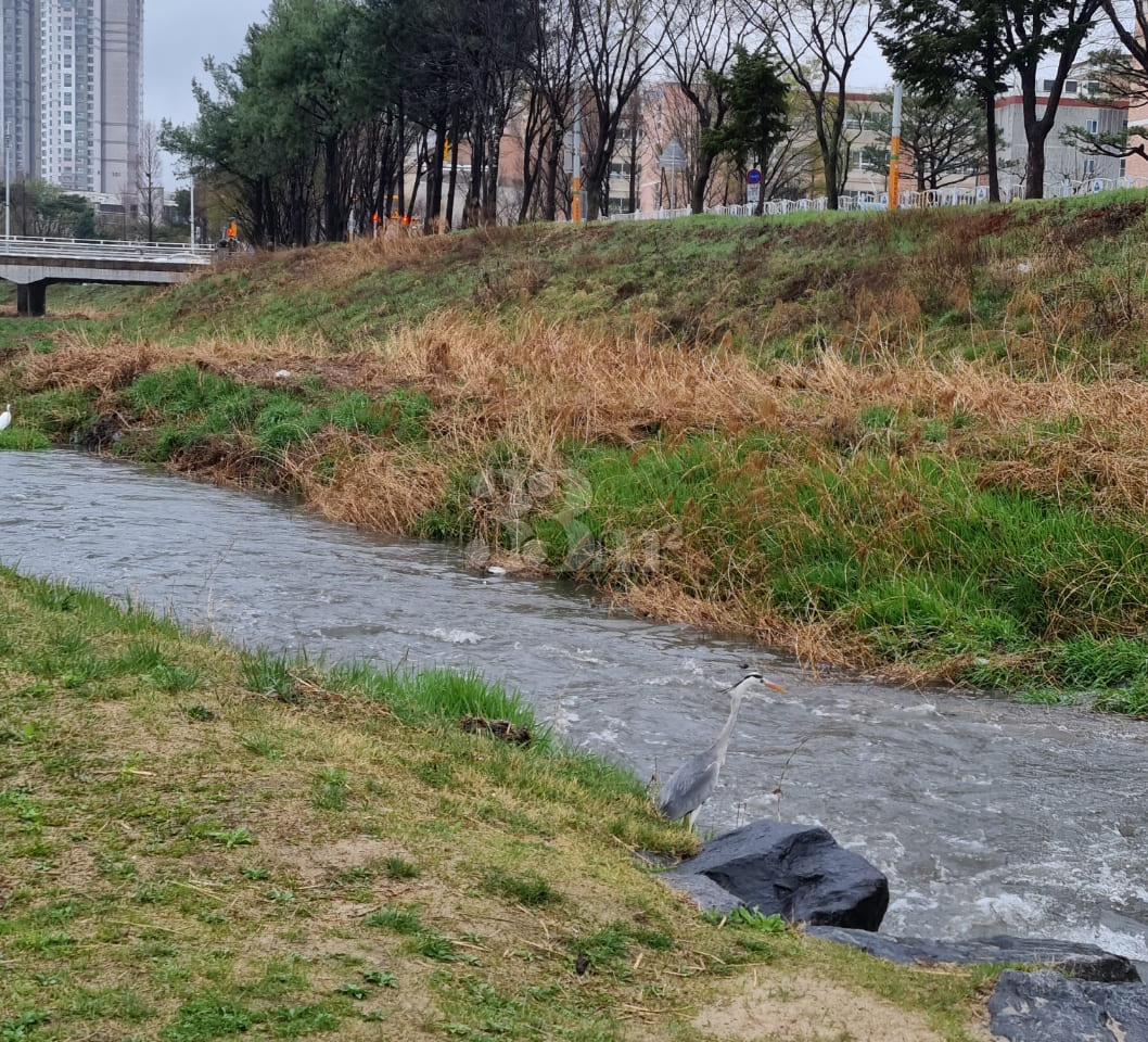 Chungnam National University, Daejeon Yuseong 18th image
