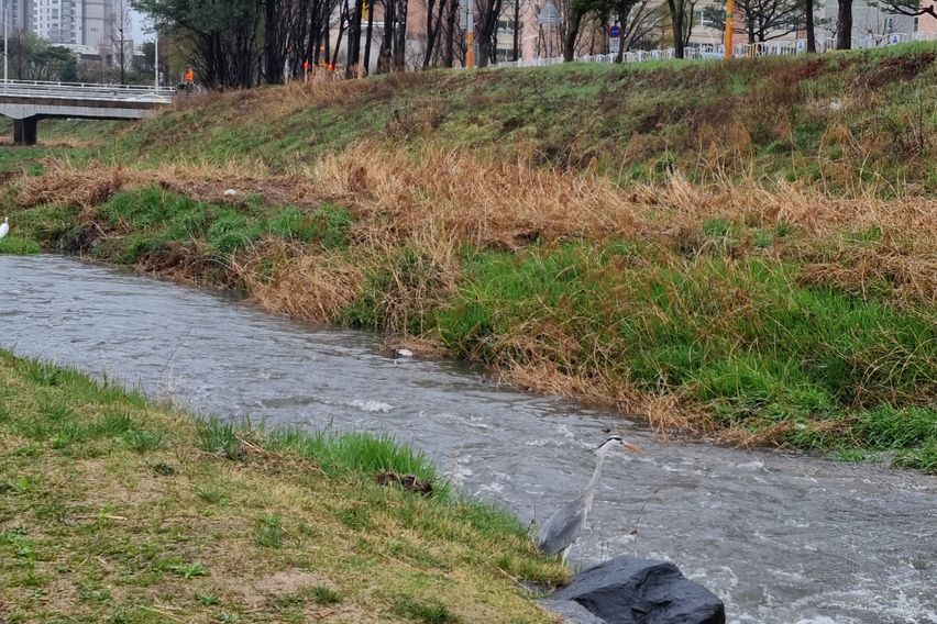 대전유성 충남대 초특가 18번째 이미지