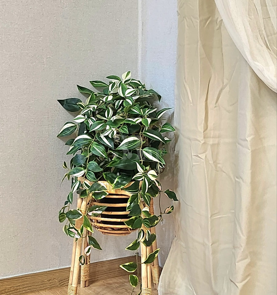 Two-room officetel near Suwon City Hall Stati 18th image