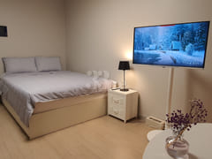 Fully Furnished Healing Stay Dongtan 0th image
