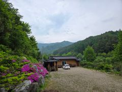 고랭지 황토 흙집방 0번째 이미지